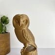 IMG_4644.jpg Owl on tree Figurine and Ornament- No supports - 3mf Included