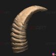 09.jpg Buffalo Horns - Satan Horns - Demon Horns