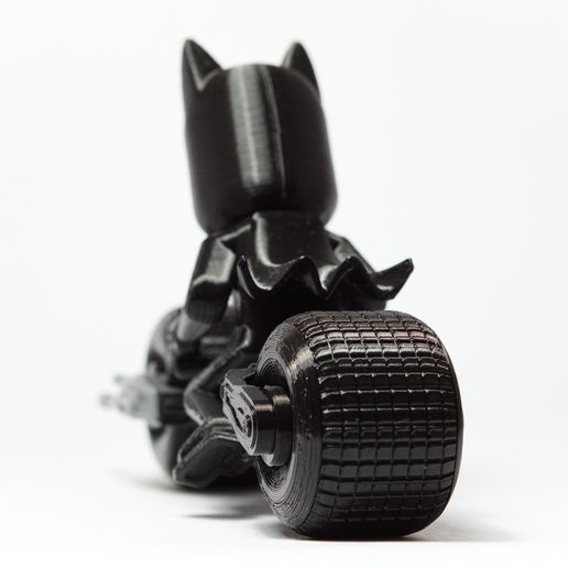 DSC03480.jpg Бэтпод