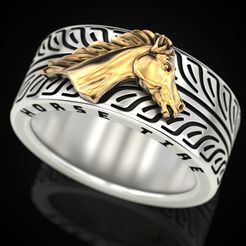 Horse-Tire-Ring-1.jpg Anneau de pneu de cheval