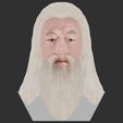 32.jpg 3D file Dumbledore from Harry Potter bust for full color 3D printing・Model to download and 3D print