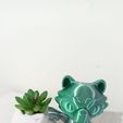 WhatsApp-Image-2023-05-25-at-7.35.38-AM-2.jpeg Archivo STL Nice flexi raccoon・Objeto de impresión 3D para descargar