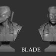 RenderBust12.jpg Bust Blade - 3D Print