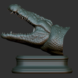 14.png Cabeça de crocodilo