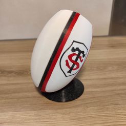 IMG_20240524_202020.jpg Stade Toulousain ball pencil cup WITHOUT SUPPORTS