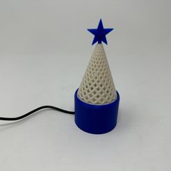Image00a.jpg Christmas Tree, 2023.