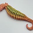 image1.jpeg FLEXI SKELTON SEAHORSE