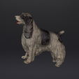 2022-01-17-21_51_36-EXScan-S.png FIGURINE OF ENGLISH COCKER SPANIEL DOG MASCOT .STL .OBJ