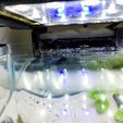 20230507_111833_HDR.jpg Nano Aquarium External Filter Waterfall