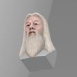 untitled.1754.jpg 3D file Dumbledore from Harry Potter bust for full color 3D printing・Model to download and 3D print