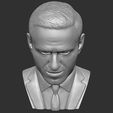 18.jpg Alexey Navalny bust 3D printing ready stl obj formats