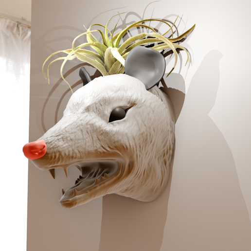 Opossum head wall mount mouth open planter pot flower vase stl 3D model
