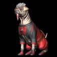 ZGrab06.jpg DOGPOOL