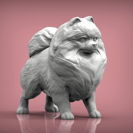 Pomeranian2.jpg Archivo 3D Modelo de impresión 3D de pomerania・Objeto imprimible en 3D para descargar, akuzmenko
