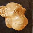 simple-monkey-head-3.png Настенное крепление для головы обезьяны, криптообезьяна NFT stl файл 3d печати
