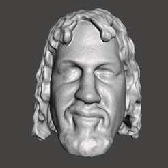 Screenshot-1509.png Файл STL WWE WWF LJN Style Terry Funk Head Sculpt・Модель 3D-принтера для скачивания