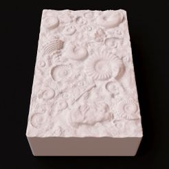 5.jpg 3D-Datei Fossile Muscheln Schimmel・Design zum Herunterladen und 3D-Drucken