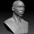 Kobe_0024_Layer 8.jpg Kobe Bryant 3 Textured 3D Print Busts