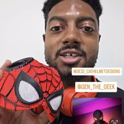 SPIDER CAT PETER PARKER - Mask