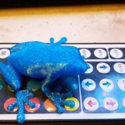 カエル（Frog）3Dデータ