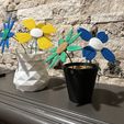 DJI_20240327_221406_902.jpeg Filament Flower - Giftable, Modular Spring Flower Kit