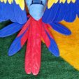 IMG_20230911_151153106.jpg Scarlet Macaw Articulated Figure