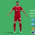 Jota_1.jpg 3D Rigged Diogo Jota Liverpool 2024
