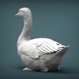 snow-goose5.jpg snow goose 3D print model