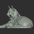 sitting-6.png MAINE COON CAT Sitting 3d print stl