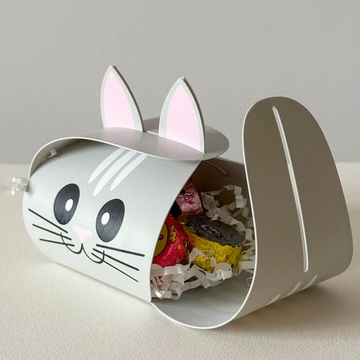 IMG_4701.jpg Flexi Cat Box - Caja de regalo plegable para los amantes de los gatos 🐱