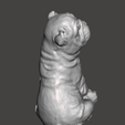 Bulldog2.png Bulldog Statue