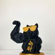 IMG_8998.jpg Maneki Neko Buff Lucky Cat