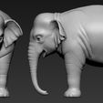 C1.jpg Elephant asian