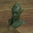 orco.png Orc Bust