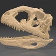 majunga1.jpg Majungasaurus skull 3D Print - dinosaur