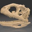 majunga1.jpg Majungasaurus Schädel 3D-Druck - Dinosaurier