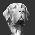 03.png Spanish Mastiff Head AM30 3D print model