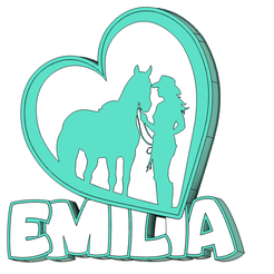 Bildschirmfoto-2024-03-21-um-15.40.04.png LED heart name lamp with horse Emilia - DIY