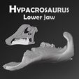 Hypacrosaurus_dentary_preview01.jpg Dinosaur Hypacrosaurus lower jaw