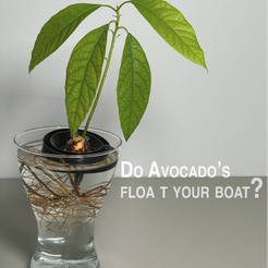 IMG_0877.png Archivo STL gratis Flotador de aguacate・Plan de impresión en 3D para descargar