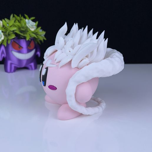 IMG_9954.jpeg Kirby Gear 5