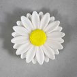 Daisy-Clicker-1-3.jpg Daisy Clicker / Daisy Keychain / Fidget - No AMS - Commercial License Included