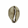 survivor-idol-7.png SURVIVOR IMMUNITY IDOL SHELL