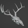ScreenShot002.jpg Deer Skull
