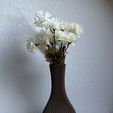 IMG_8181.jpeg Modern vases / Modern vases