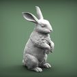 rabbit7.jpg Rabbit 3D print model