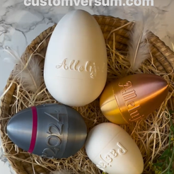 logo.png Custom Surprise Egg