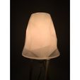 b06ed3a495ad7a17c6f94f87d2991b55_preview_featured.JPG Dowel Lamp with low poly shade!