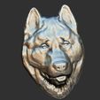 BPR_Composite.jpg American Akita Head 3D Relief