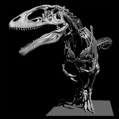 1000045171.png 3D file Carcharodontosaurus Skeleton・Model to download and 3D print